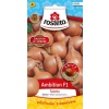 Rosteto Cibule šalotka-Ambition F1 žlutá 0,2g