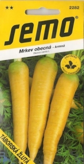 Mrkev obecná- krmná žluto červená